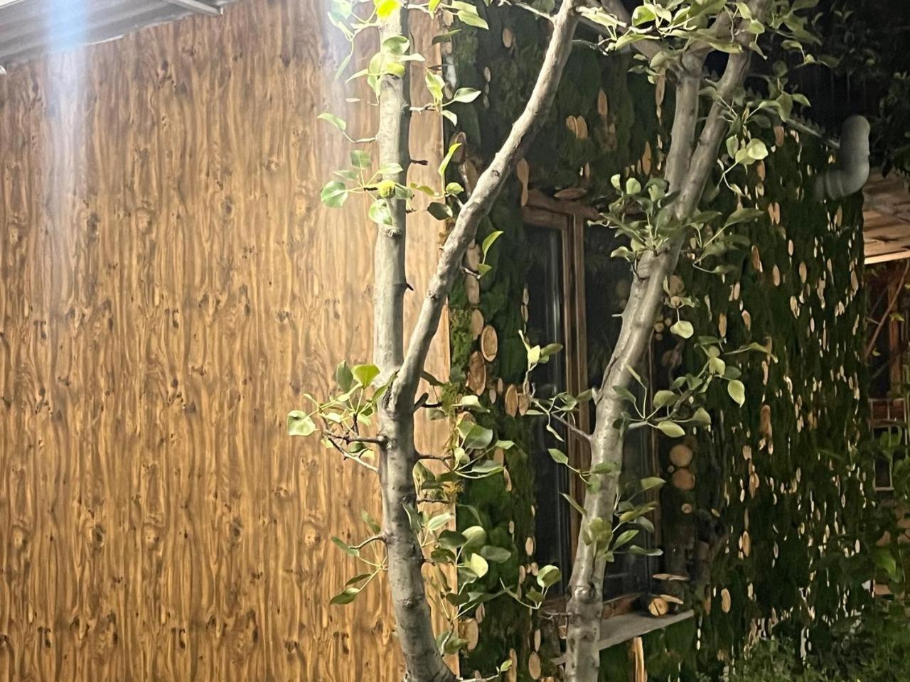 Andranik B&B Goris Exteriör bild